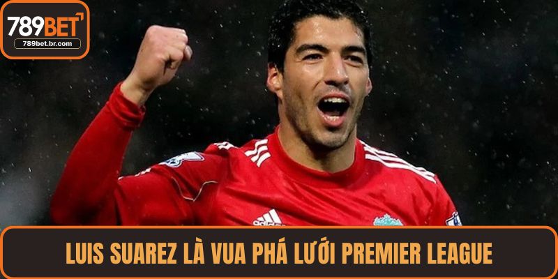 Luis Suarez là vua phá lưới Premier League mùa 2013-2014