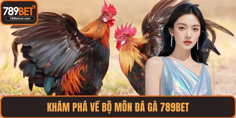 Khám phá về bộ môn đá gà 789BET