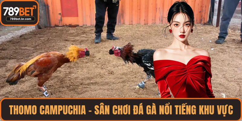 Thomo Campuchia – sân chơi đá gà nổi tiếng khu vực