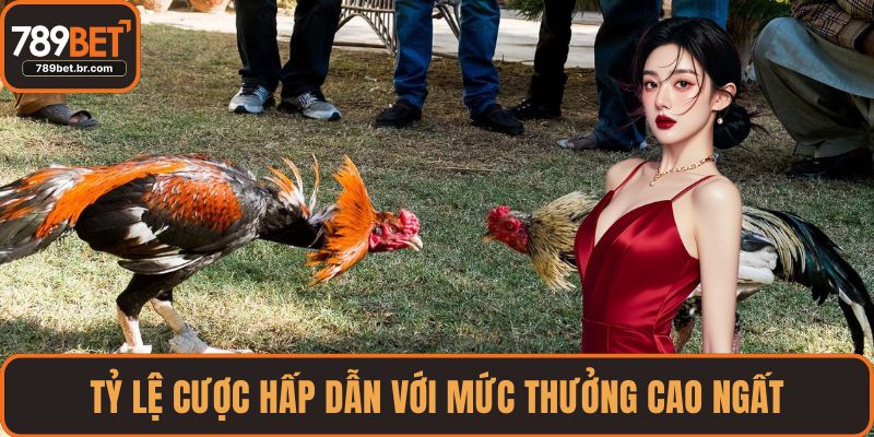 Tỷ lệ cược hấp dẫn với mức thưởng cao ngất